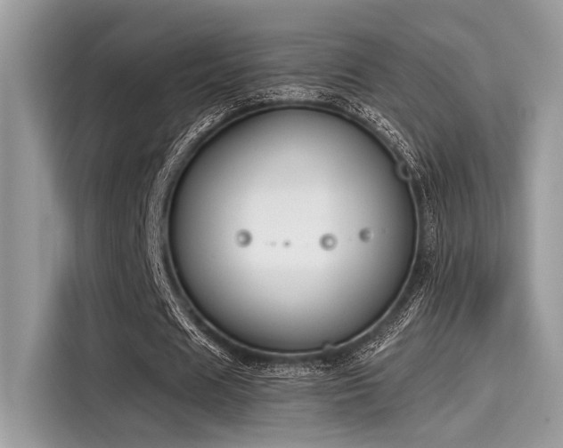 X0000115550625200911131605