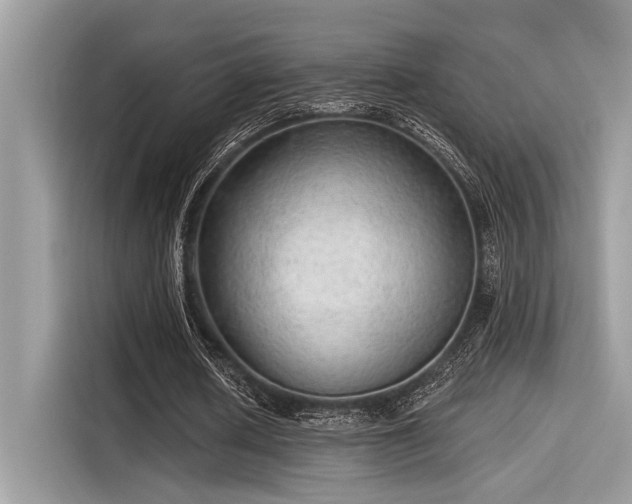 X0000115550626200911131605