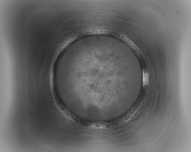 X0000115550627200911131605