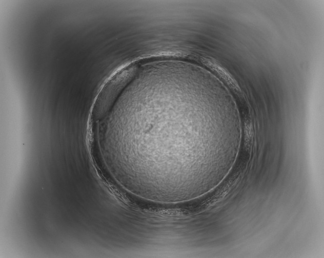 X0000115550628200911131605