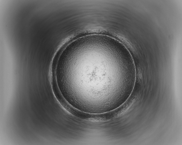 X0000115550630200911131605