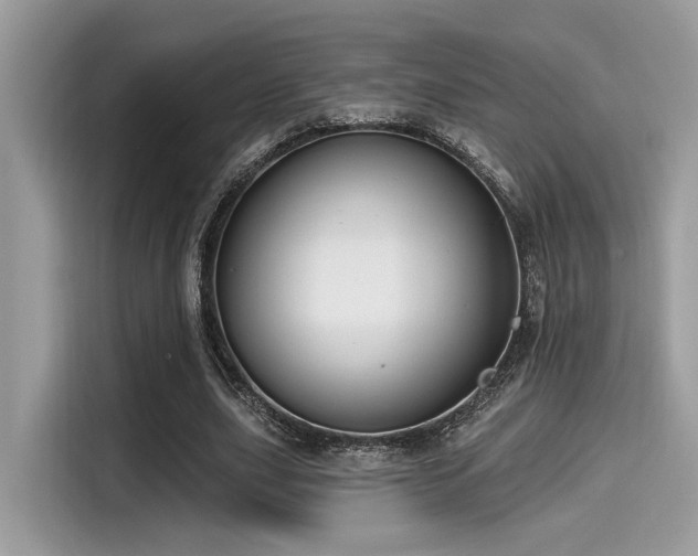 X0000115550631200911131605