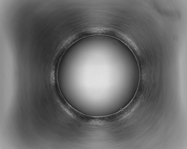 X0000115550633200911131605