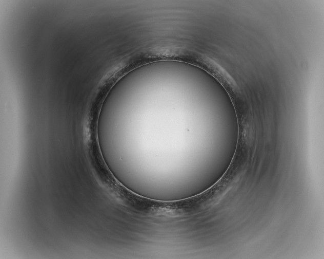 X0000115550635200911131605