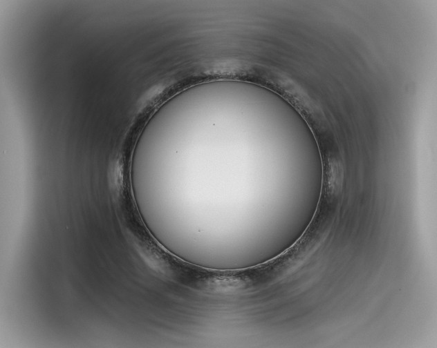 X0000115550636200911131605