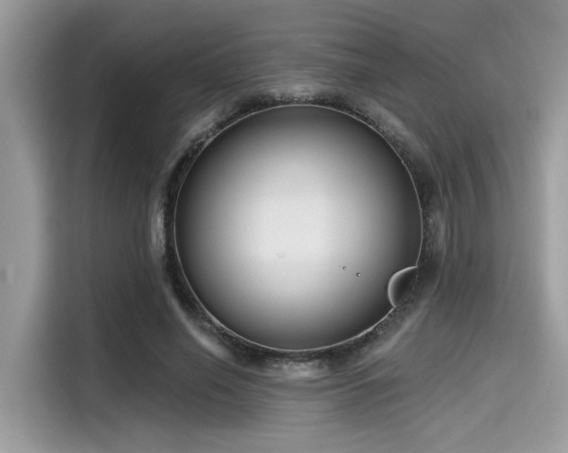 X0000115550638200911131605