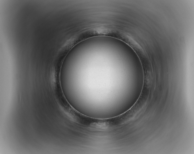 X0000115550639200911131605