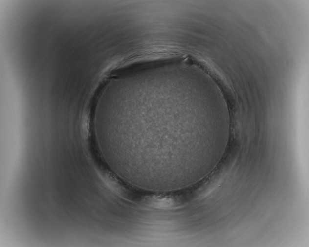 X0000115550640200911131605