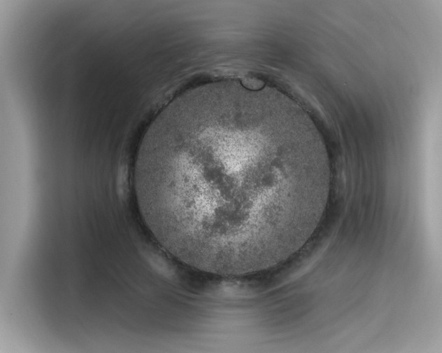 X0000115550641200911131605