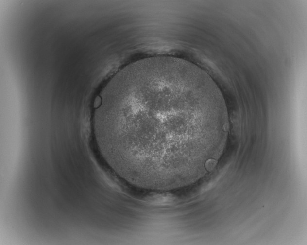 X0000115550642200911131605