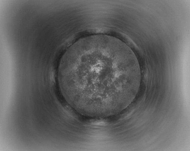 X0000115550643200911131605