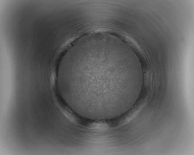 X0000115550644200911131605