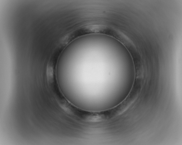 X0000115550646200911131606