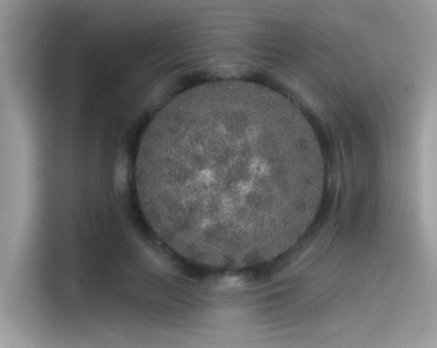 X0000115550647200911131606