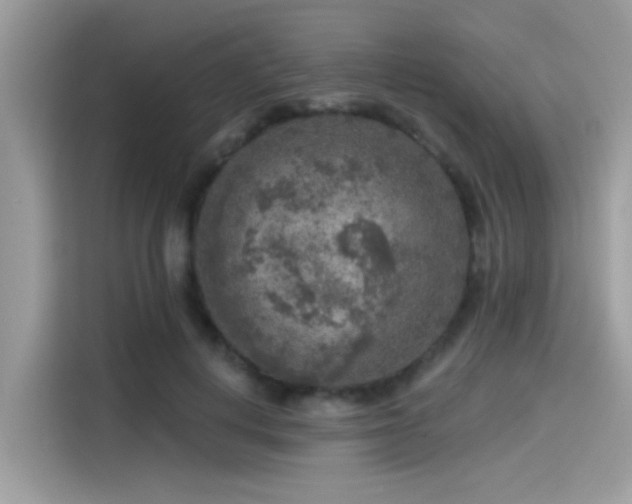 X0000115550648200911131606