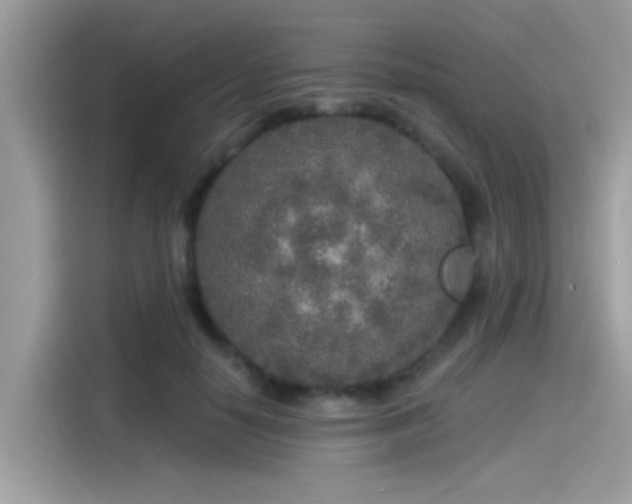 X0000115550650200911131606