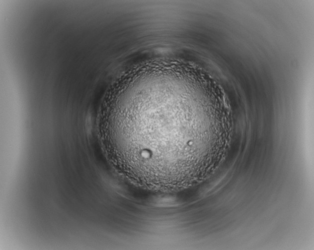 X0000115550651200911131606