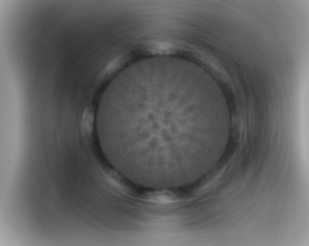 X0000115550652200911131606