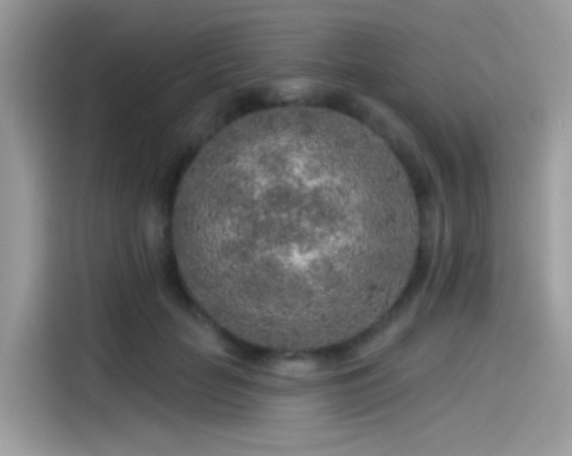 X0000115550653200911131606