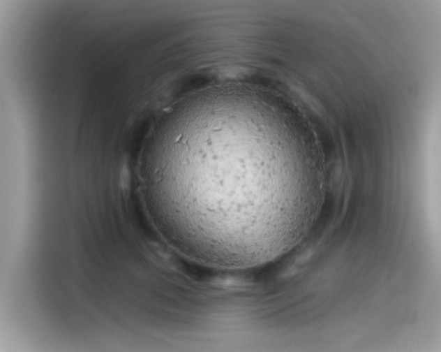 X0000115550655200911131606