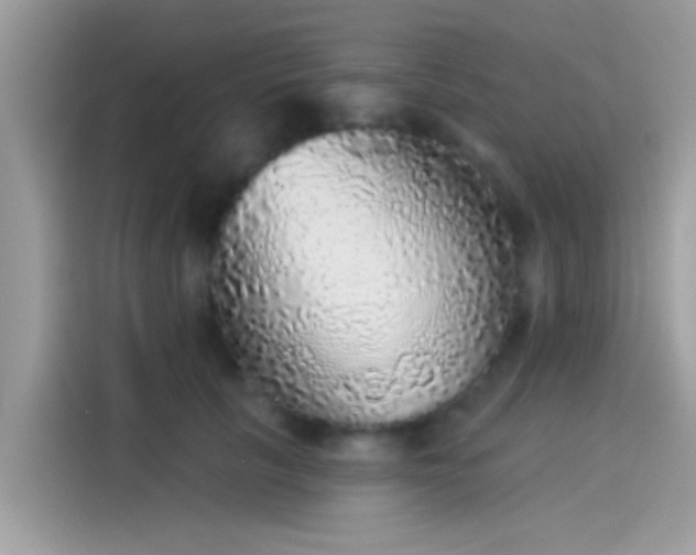 X0000115550657200911131606