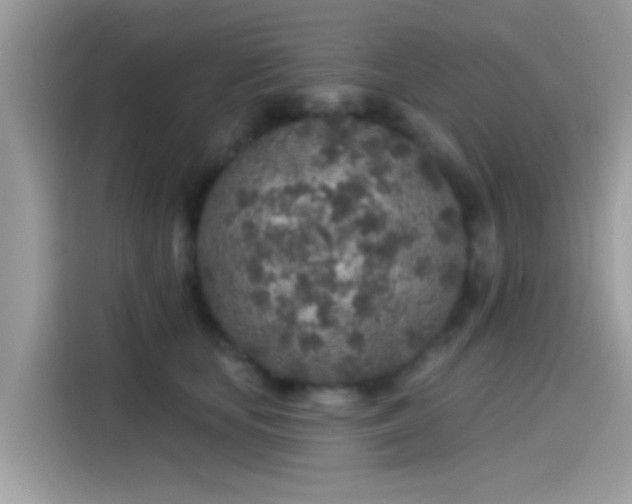 X0000115550659200911131606