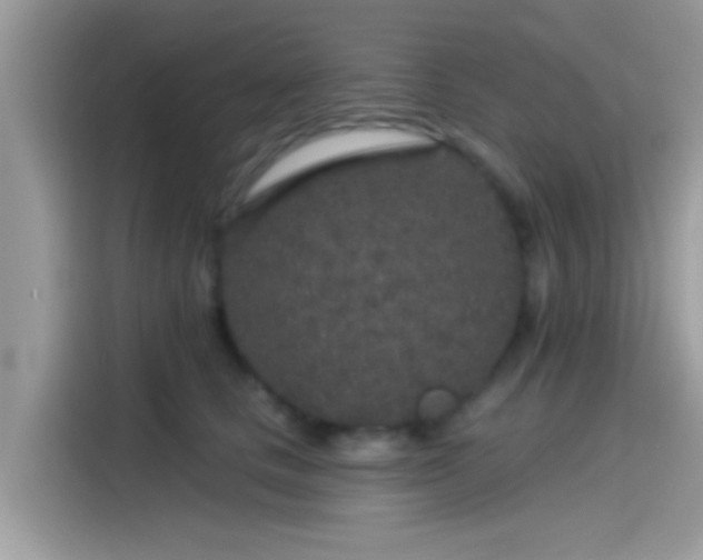 X0000115550661200911131606