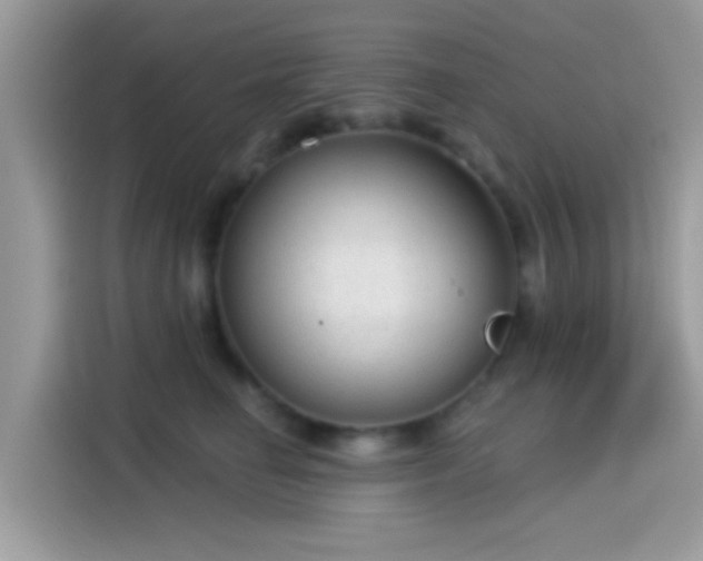 X0000115550662200911131606