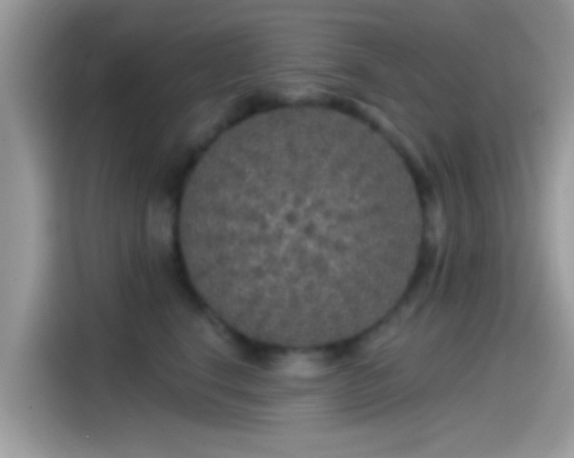 X0000115550664200911131606