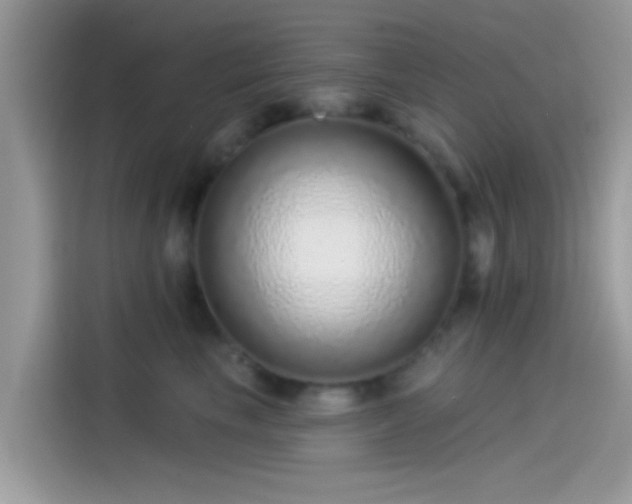 X0000115550665200911131606