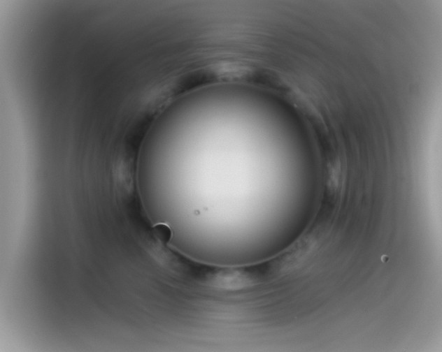 X0000115550666200911131606