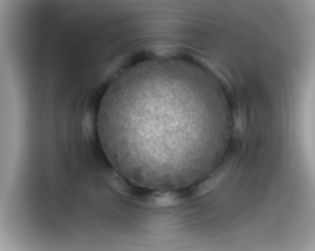 X0000115550667200911131606