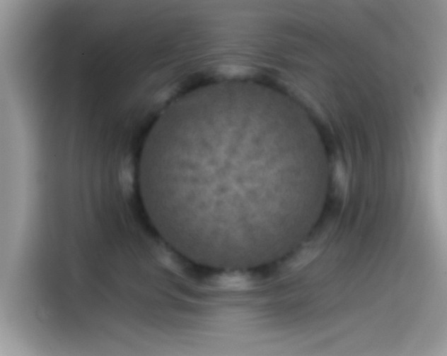 X0000115550668200911131606