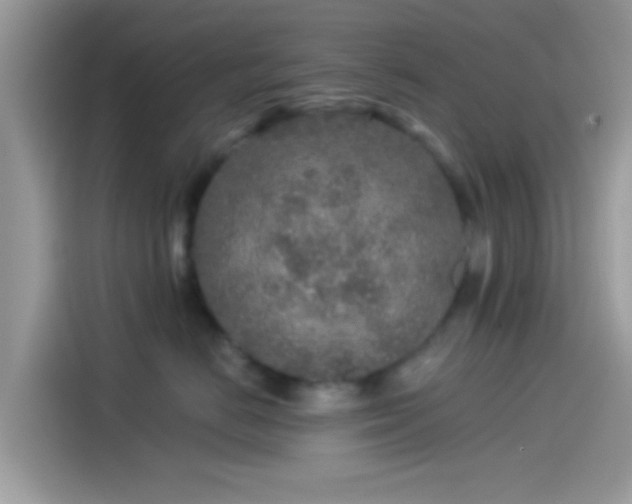 X0000115550670200911131606