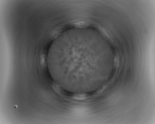 X0000115550671200911131606