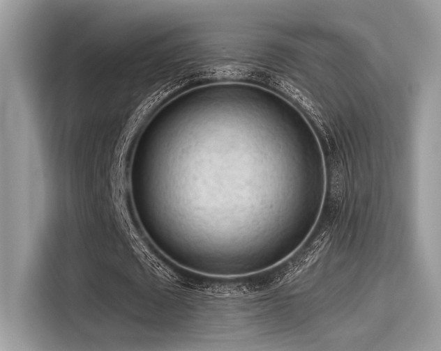 X0000115550673200911131605