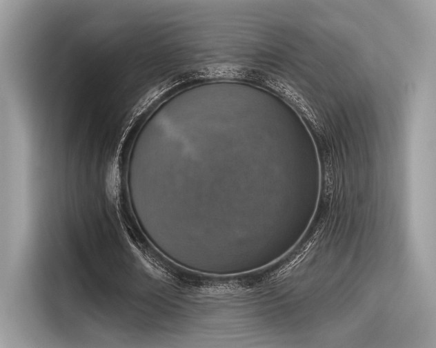 X0000115550674200911131605