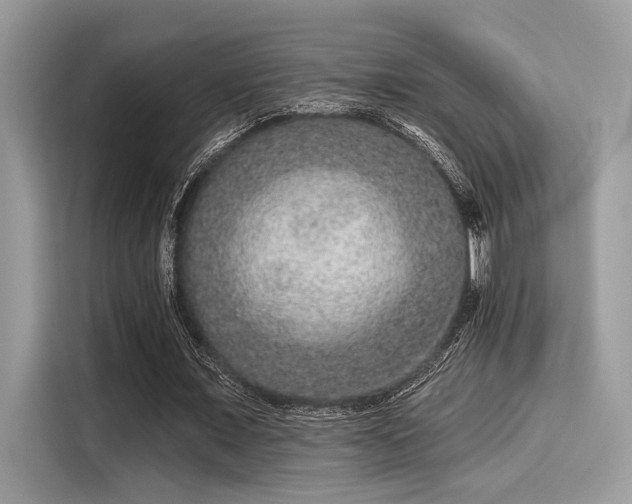 X0000115550675200911131605