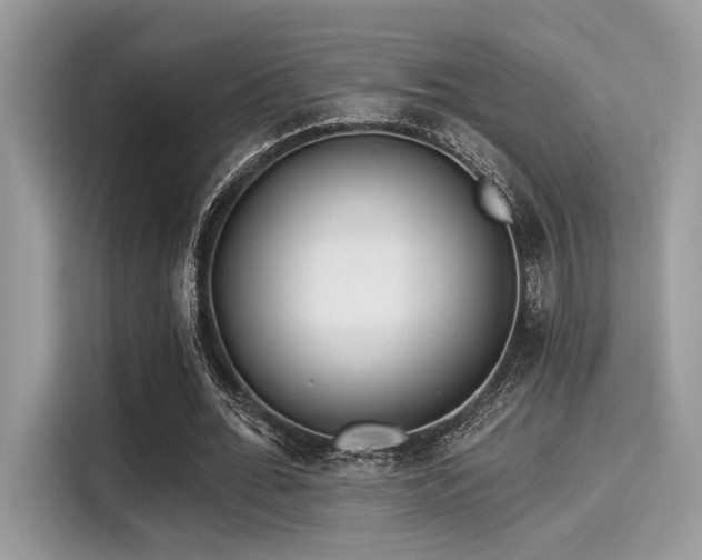 X0000115550676200911131605