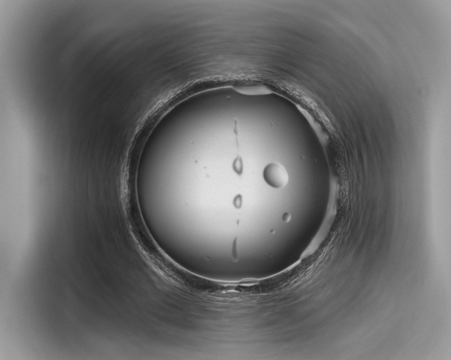 X0000115550677200911131605