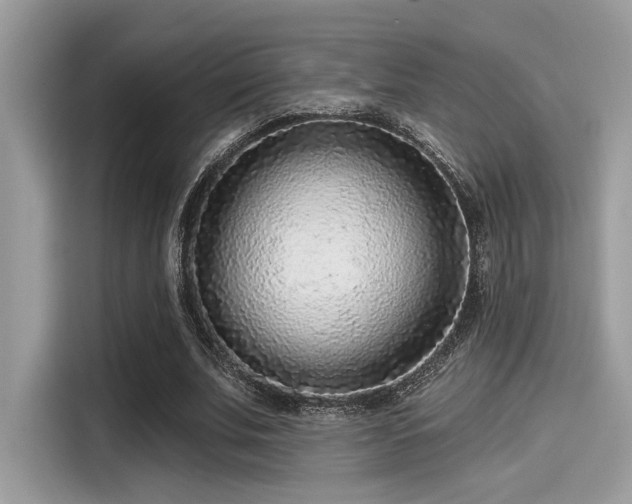 X0000115550679200911131605