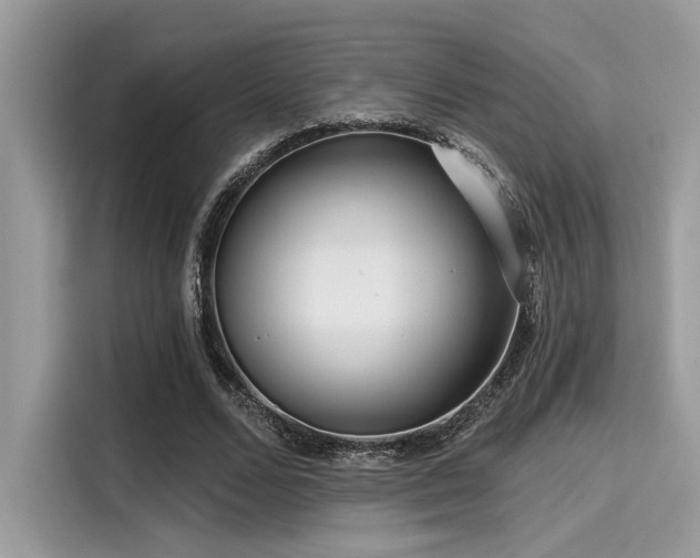 X0000115550680200911131605