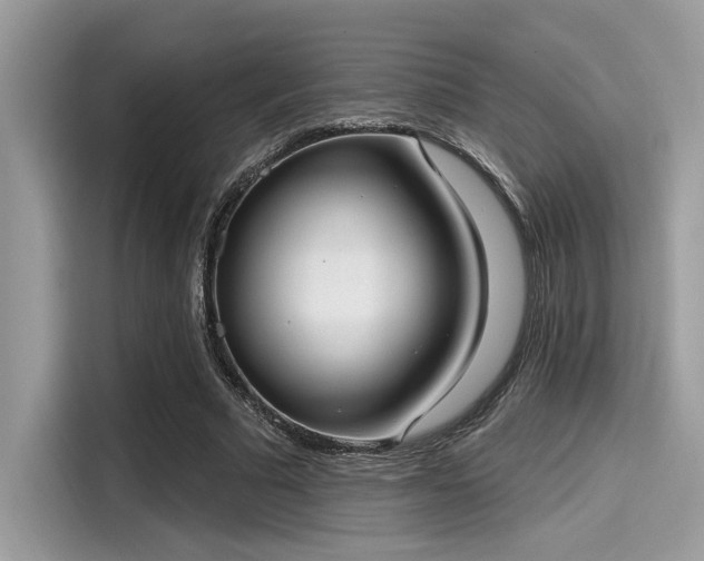 X0000115550681200911131605