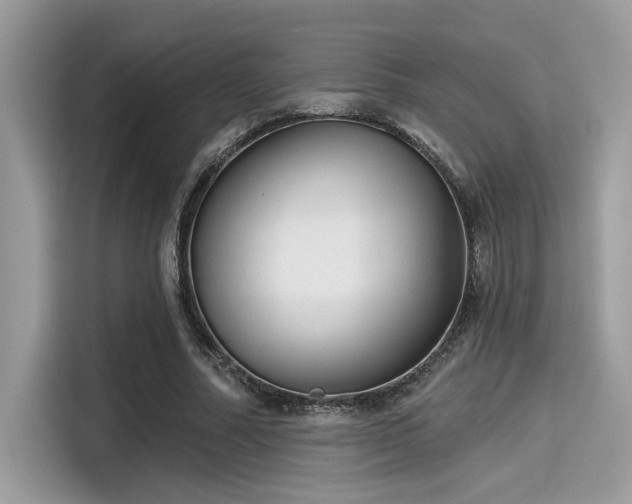 X0000115550682200911131605