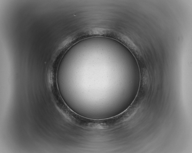 X0000115550683200911131605