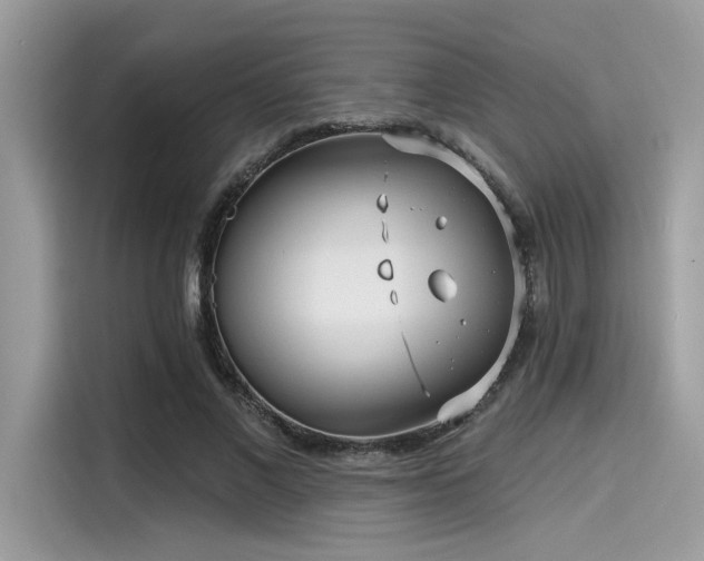 X0000115550685200911131605