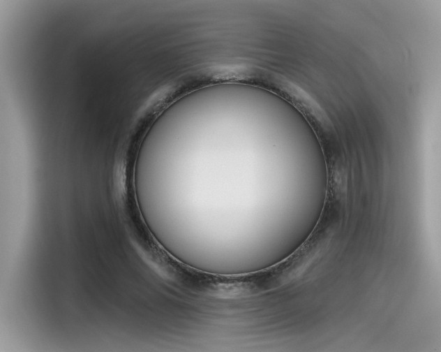 X0000115550686200911131605