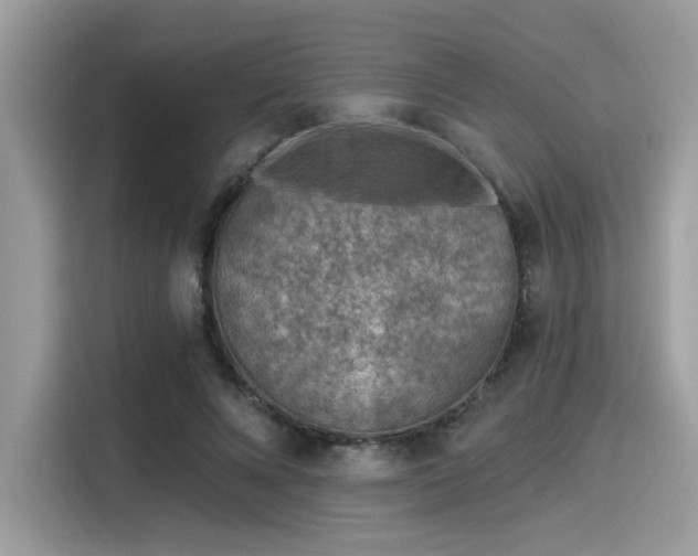 X0000115550688200911131605