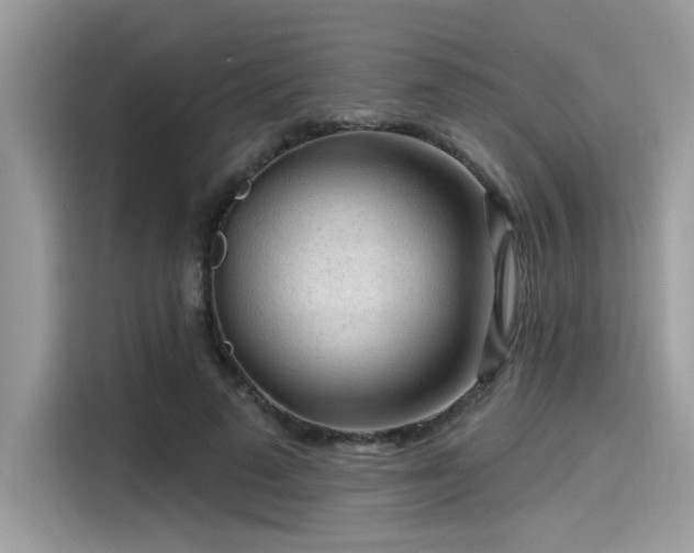 X0000115550689200911131605