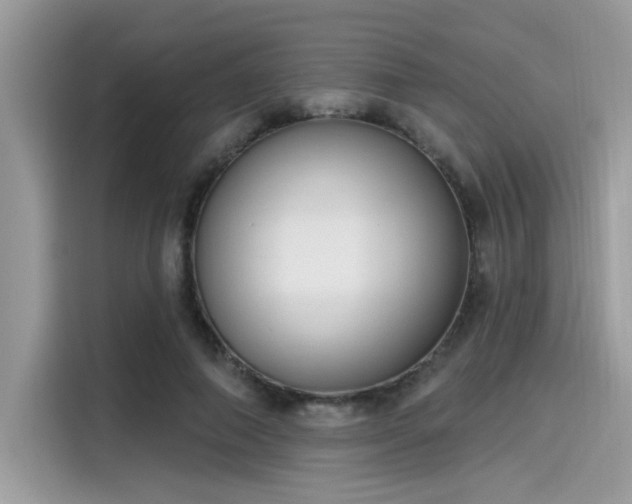 X0000115550690200911131605